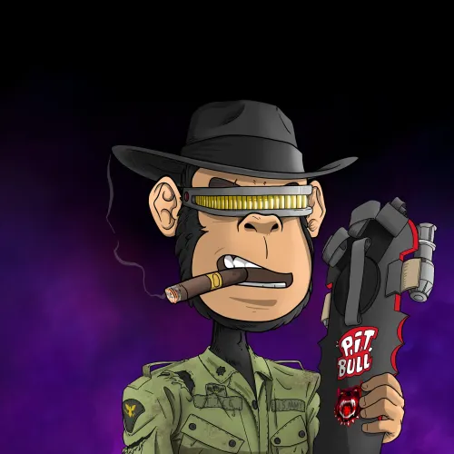 Time Traveling Chimp #1015