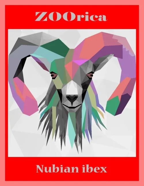 NUBIAN IBEX #2043