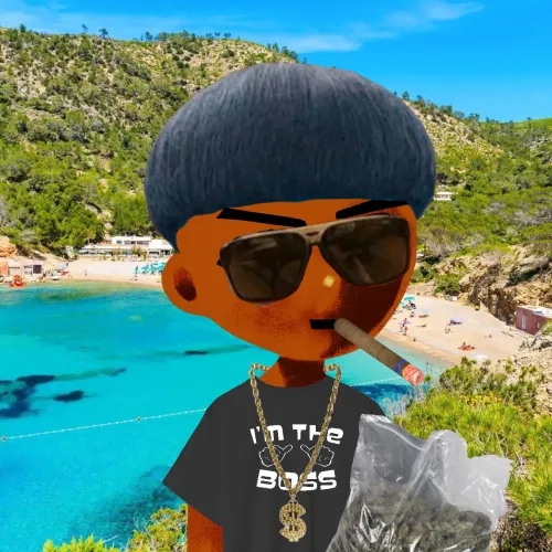 Ibiza Trencher #118