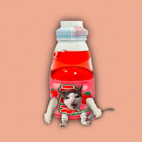 Cat Juice #128