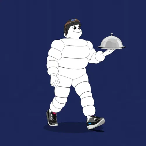 Michelin 3xplorer #877