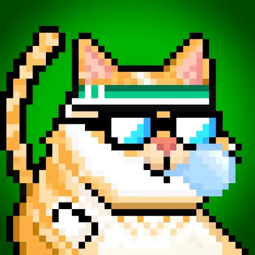 YOLOCat #315