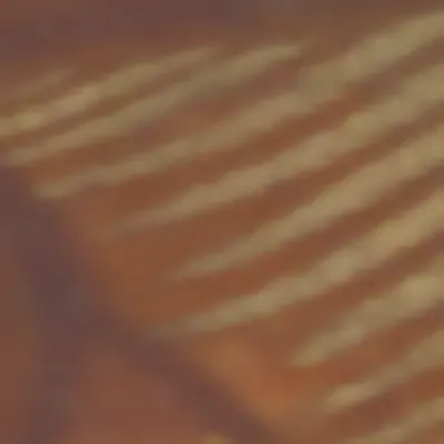 TokenID 4636 #4636