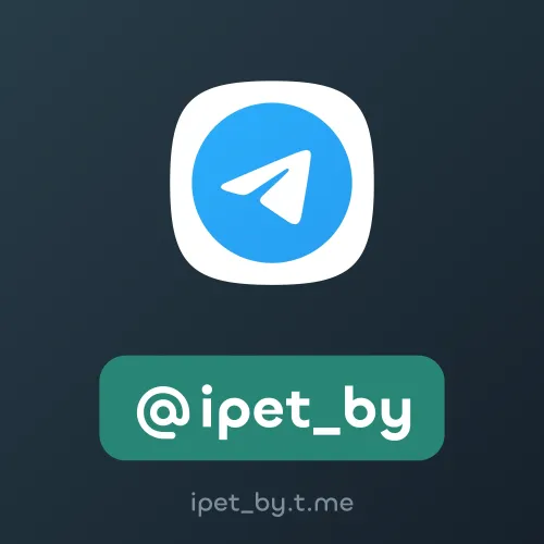 @ipet_by