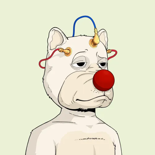 Rekt Dog #2237