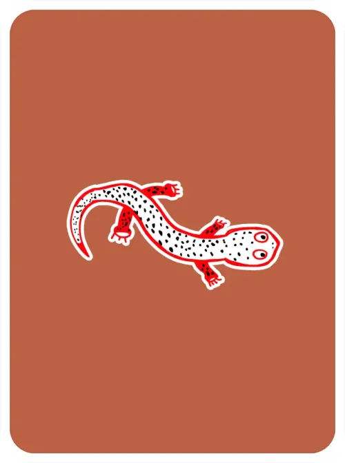 SentimentalSalamander #8172
