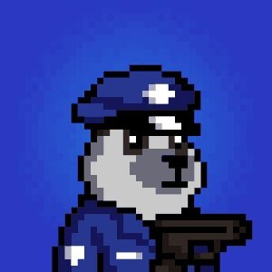 Police #551