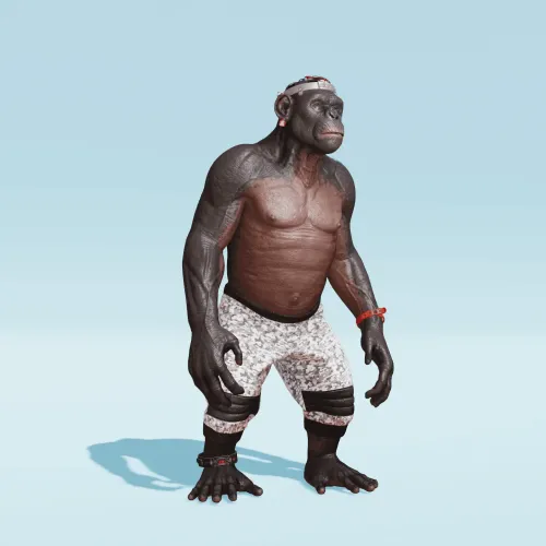 BR1 Character #1003