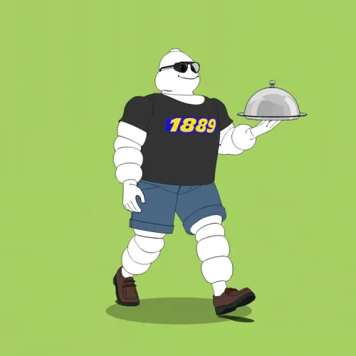 Michelin 3xplorer #1813