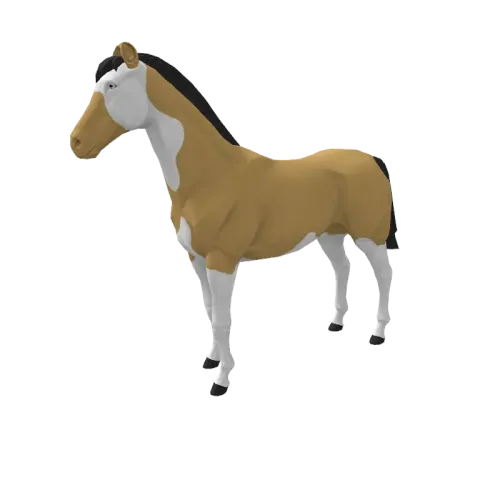 Sundia Dundee #10908