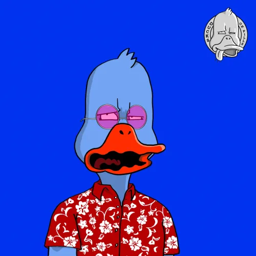 Duck #6414
