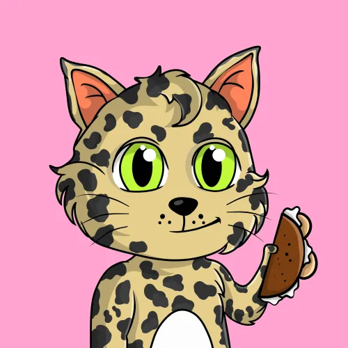 Taco Gato #4361