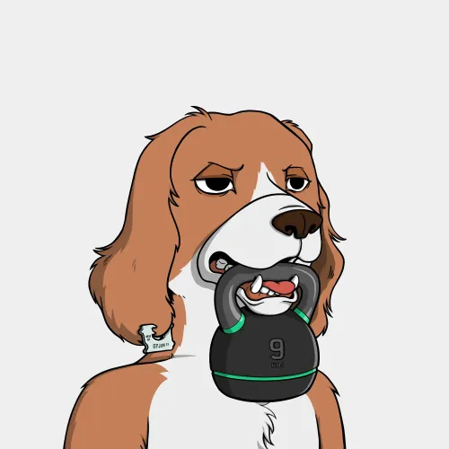 Okay Dog #8719