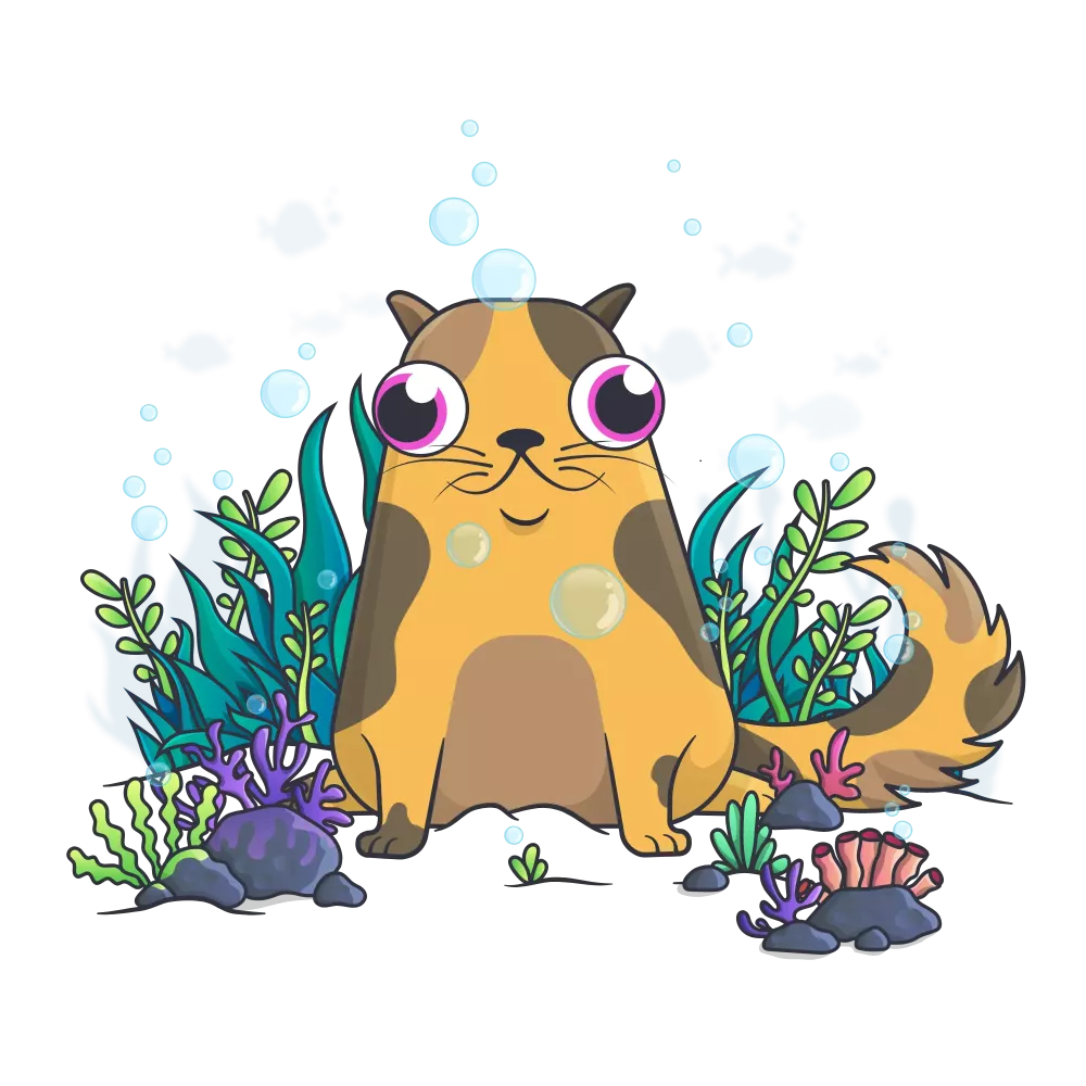 CryptoKitties #848258