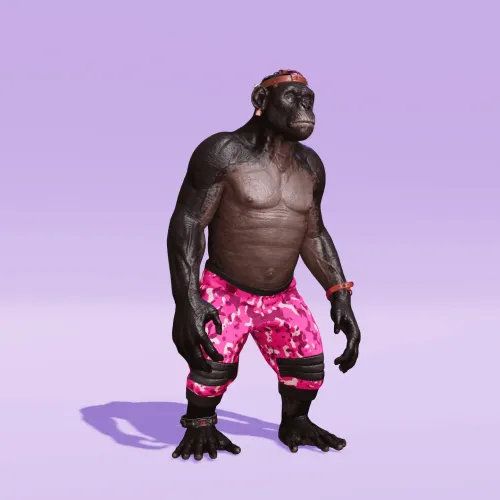 BR1 Character #469