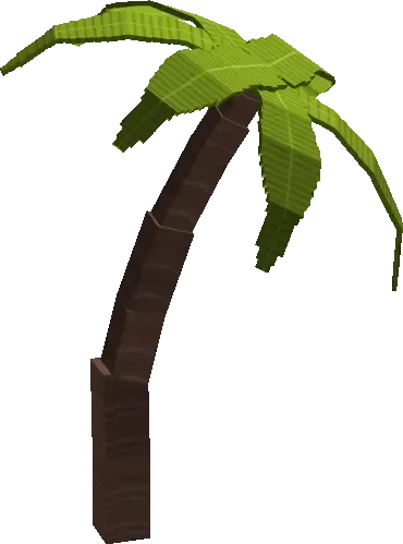 Palm
