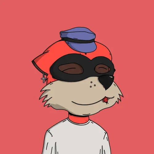 Meerkat #9996