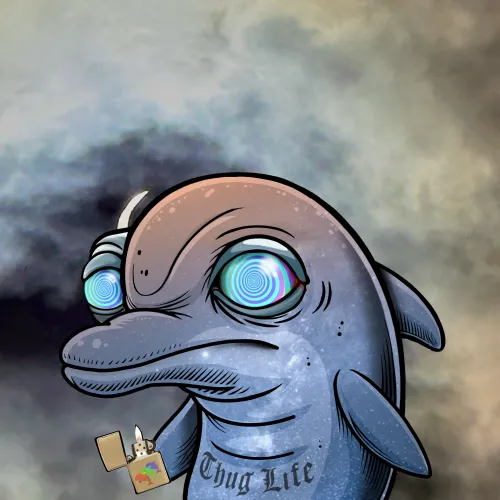 Dolphin Treats #102