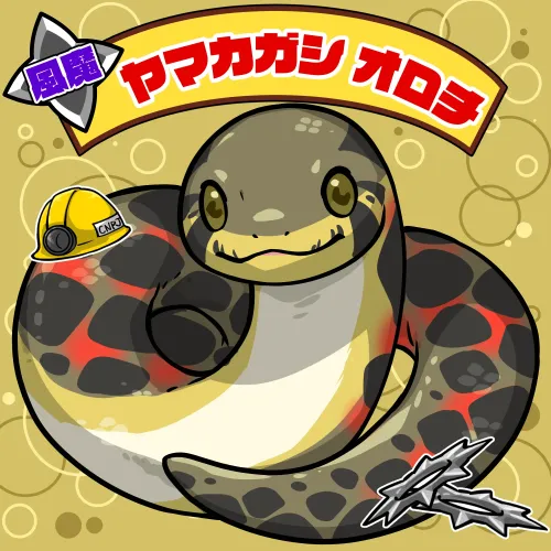 Orochi #0810