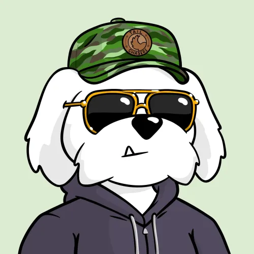 BoDoggos #72