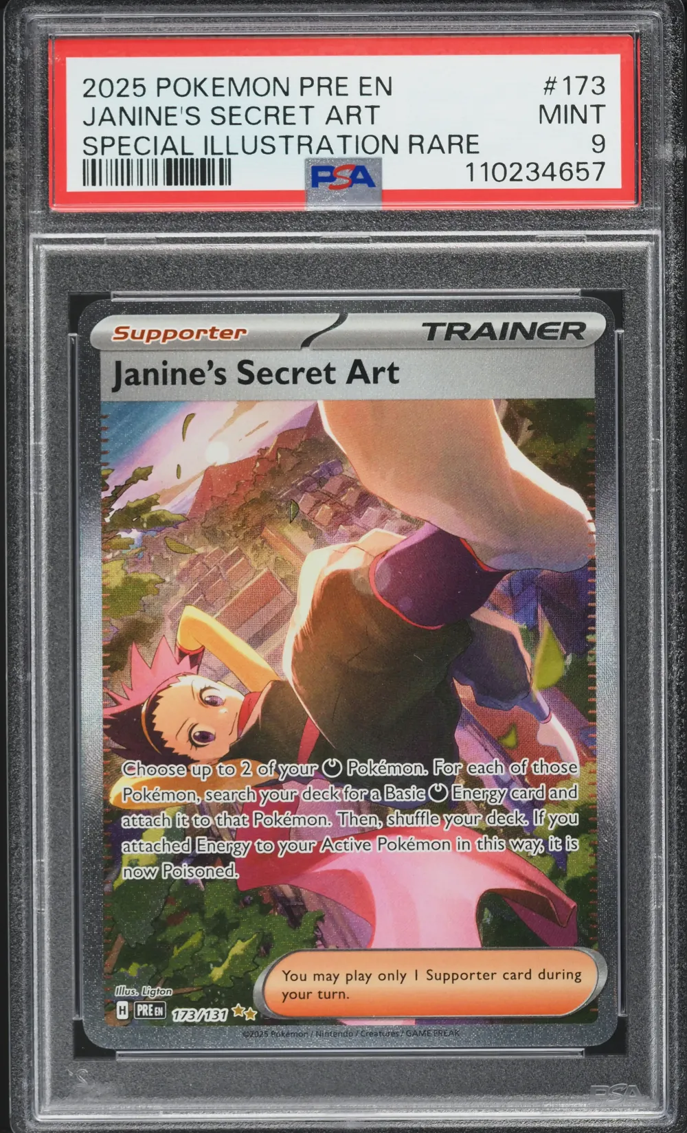 2025 #173 Janine's Secret Art PS