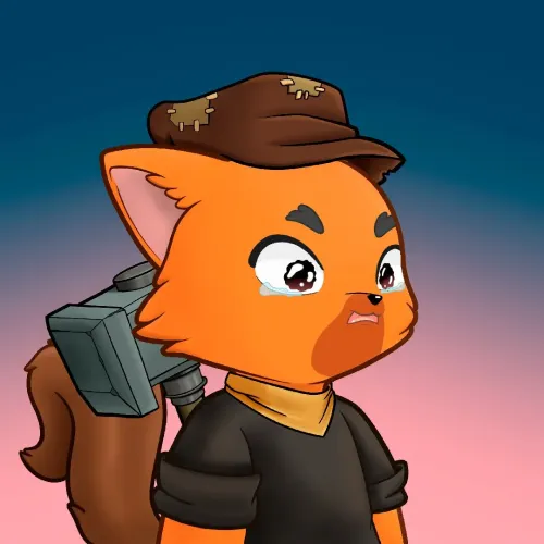 Racoonk #25