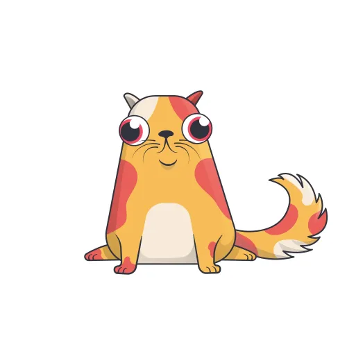 sweet lil Calicool Scarlet #164957