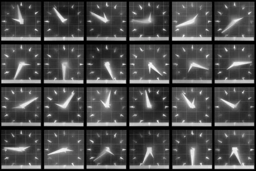 Chronophotograph 162 #162