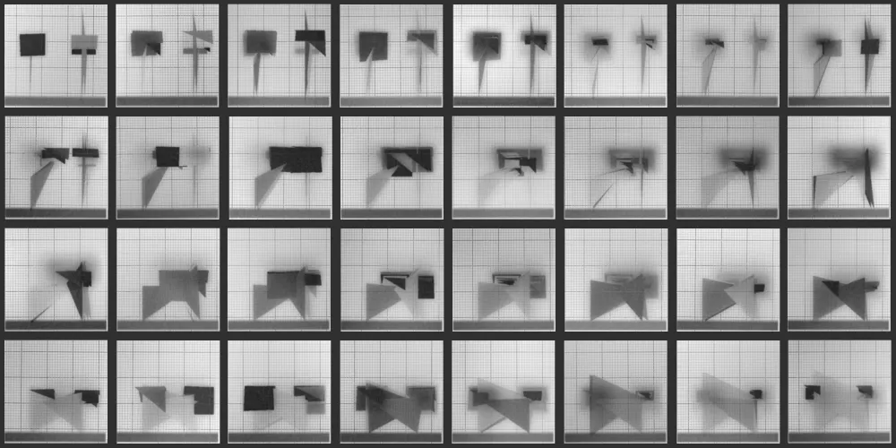 Chronophotograph 146 #146