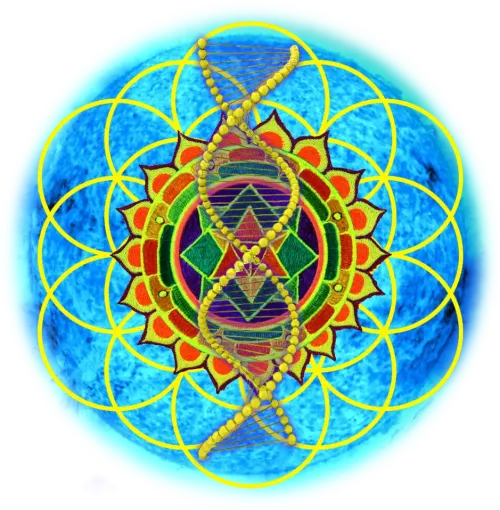 SETHIX-QR GRiD #105