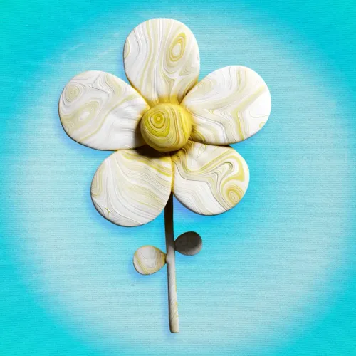 Common Daisy #6