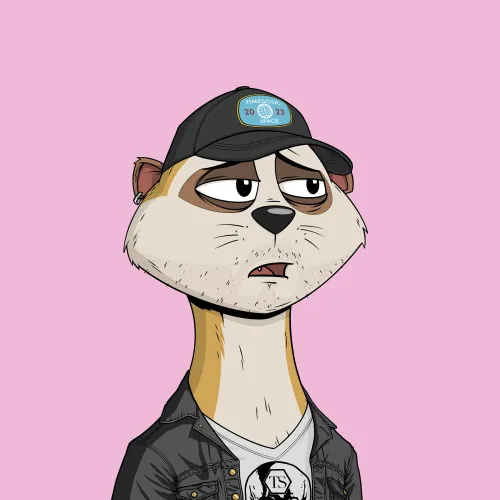Worried Meerkat #492