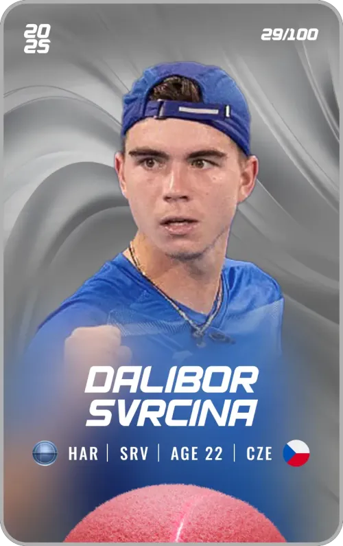 Dalibor Svrcina - Silver - Service #184798