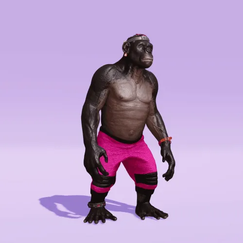 BR1 Character #802