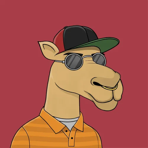 Camel #900