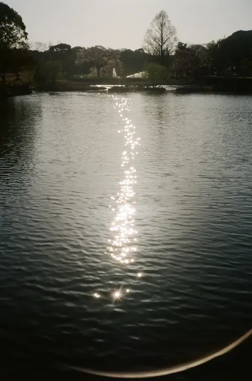 The Sunlit Way #2