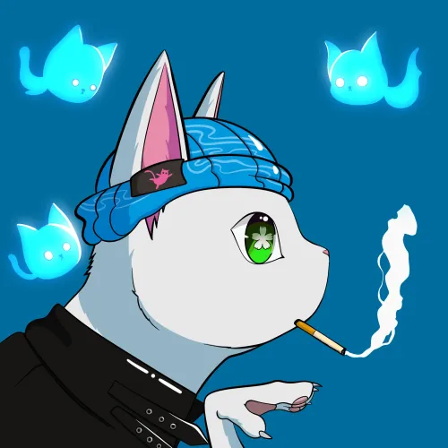 Meovax #531
