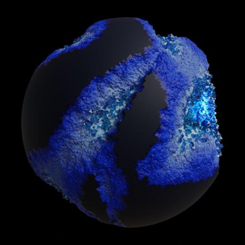 ASM Gen II Brains #11972