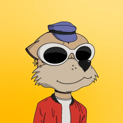 Meerkat #9013