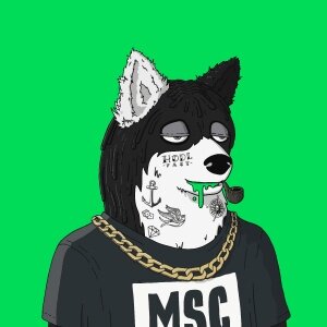 Mutant Shiba #9492