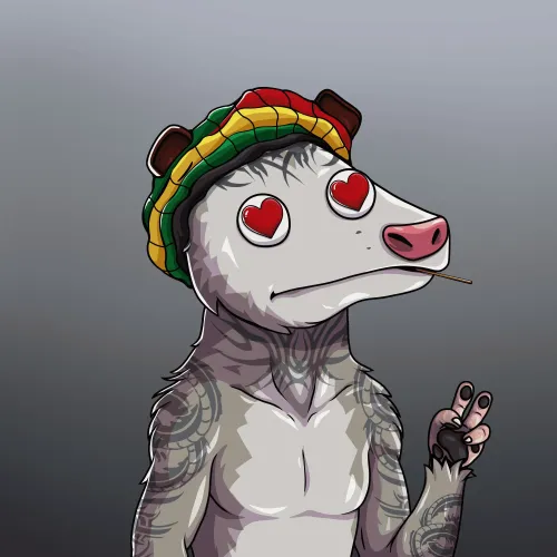 WTF Opossum #469
