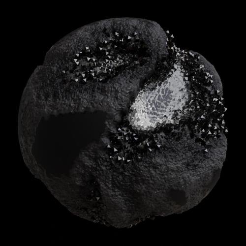 ASM Gen II Brains #11966