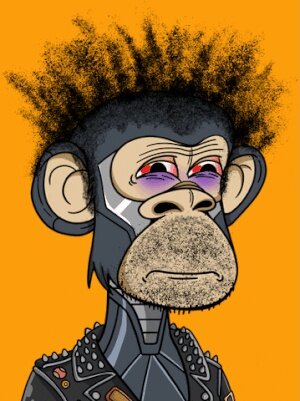 Monkey Crazed #41