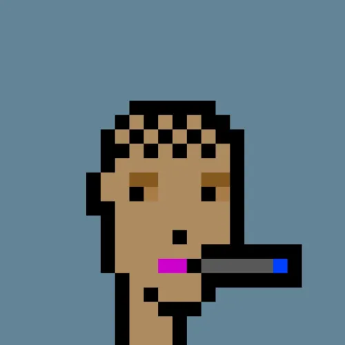 CryptoPunk #2876