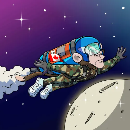 ROCKET CHIMP #279