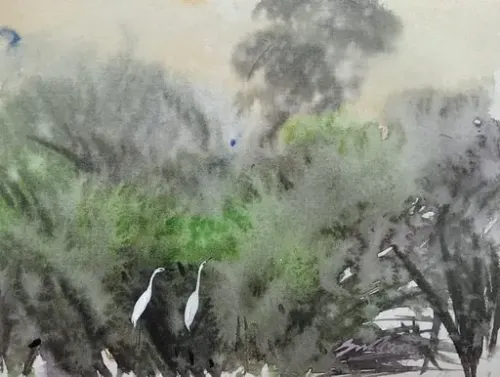 Beauty of Nature19