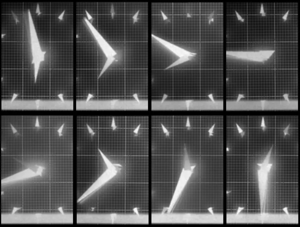 Chronophotograph 177 #177