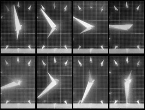 Chronophotograph 177 #177