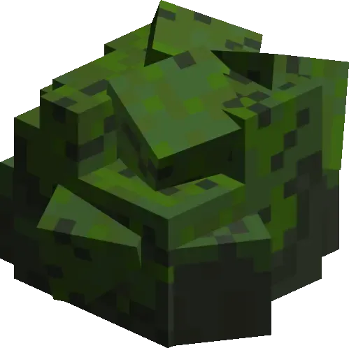 Rock forest 02