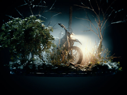 Forest Night Bike #4957